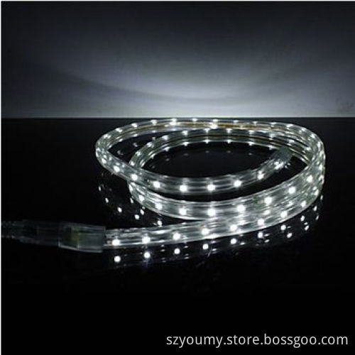 SMD 3528 LED Strip, 220V 60LEDs/m High Voltage, Waterproof